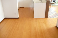 浮造り加工を施した無垢の床材は、木肌の表情や風合い、肌触りなどの特徴を五感で味わえるフローリングです。