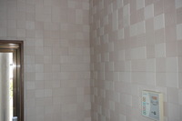 湿気のこもりやすい洗面所なので、壁にはエコカラットを張りました。
