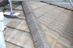 また雨、でも屋根はバッチリ