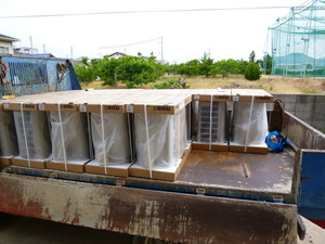 暑くなる前の。