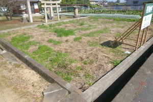 現地調査　風　光