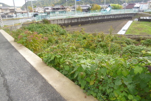 新しいプロジェクト・尾道市美ノ郷町、お洒落なカフェ店の前で新社屋建設