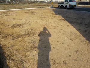 建てる前のは必ず確認・尾道市美ノ郷町、プラン設計に向けて陽当り確認