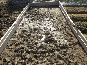 悪い地盤をプチ改良。福山市津之郷町、ぬかるみに苦戦し作戦変更。