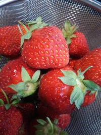 季節の食べ物♪