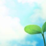 サンプルイベント2025